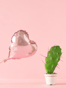 Love Category: Cactus and Balloon